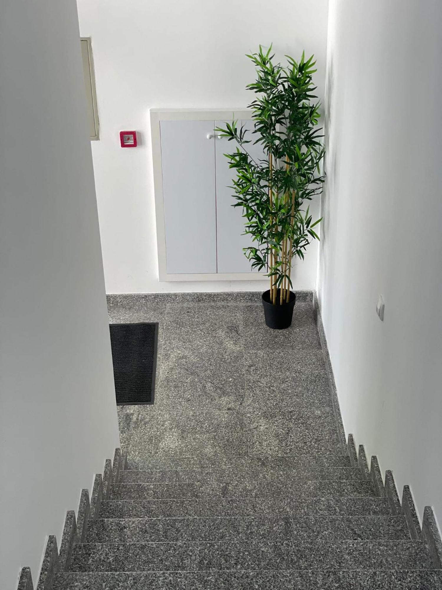 Morpheus Apartmani Sremska Mitrovica Ngoại thất bức ảnh
